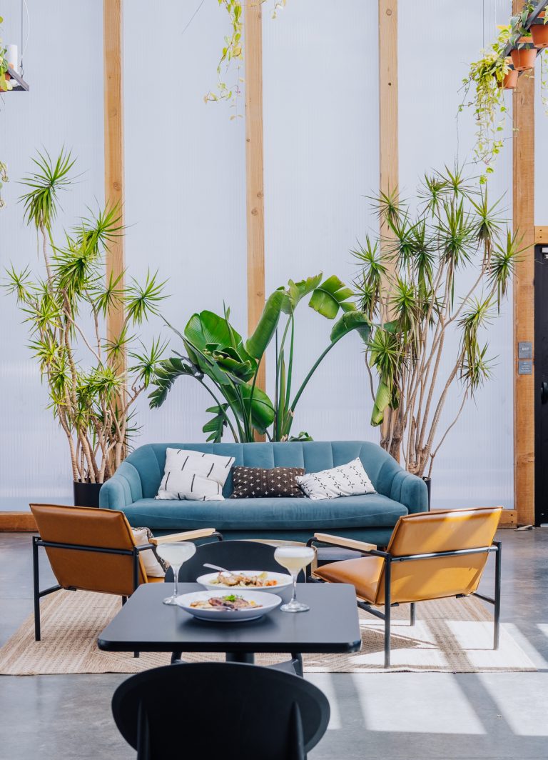 24231 homa cafe bar 768x1064