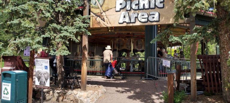 24233 grizzly grill 768x346