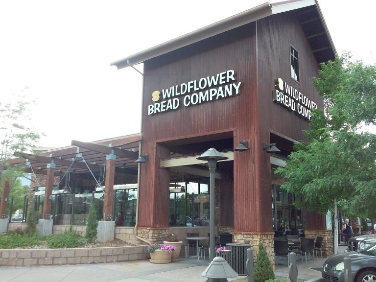 24258 wildflower 768x576