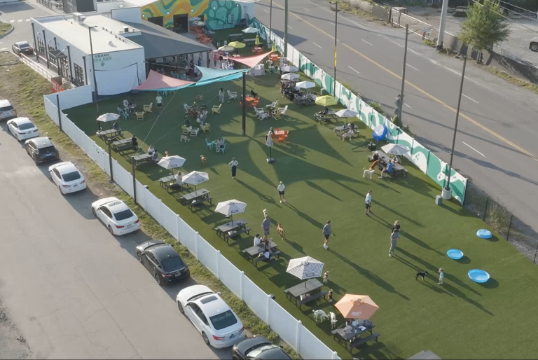 24465 urban dog bar 768x514