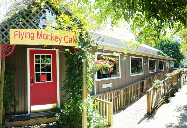 24808 flying monkey cafe 768x527