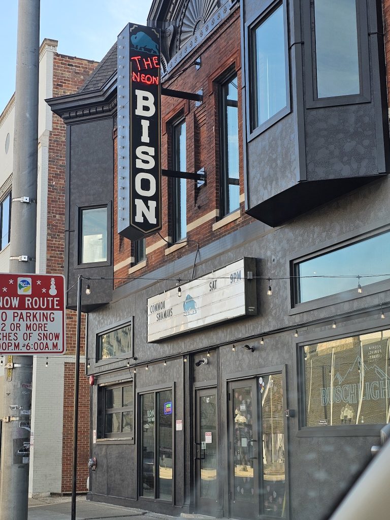 24853 the neon bison 768x1024