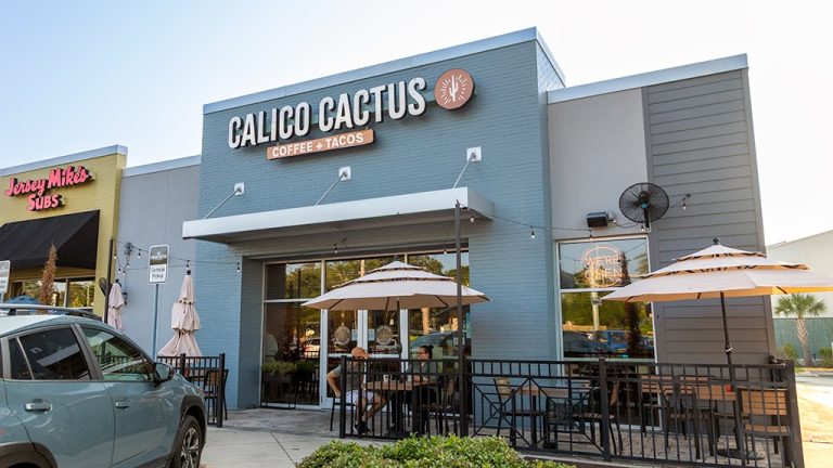 24929 calico cactus 768x432