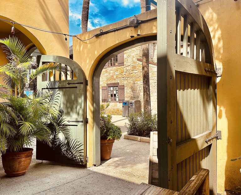 24929 say cheese snack shack 768x621