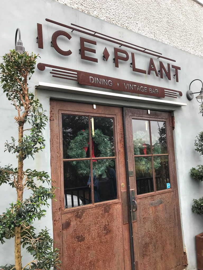 24943 ice plant bar 768x1024