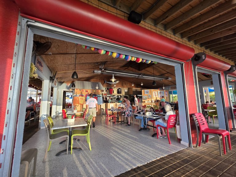 25129 the old salty dog 768x576