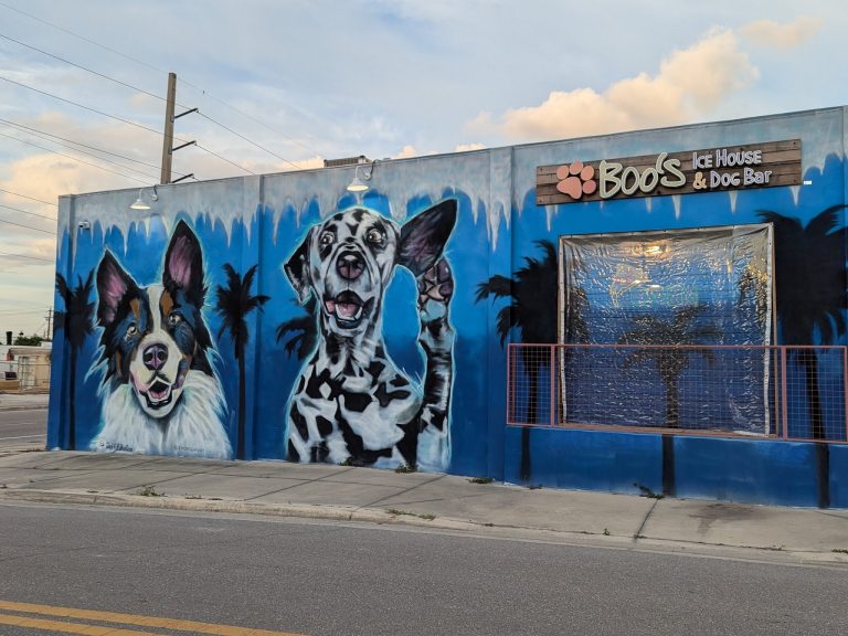 25133 dog bar sarasota 768x576