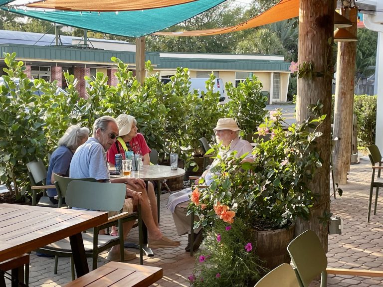 25151 tamiami tap 768x576