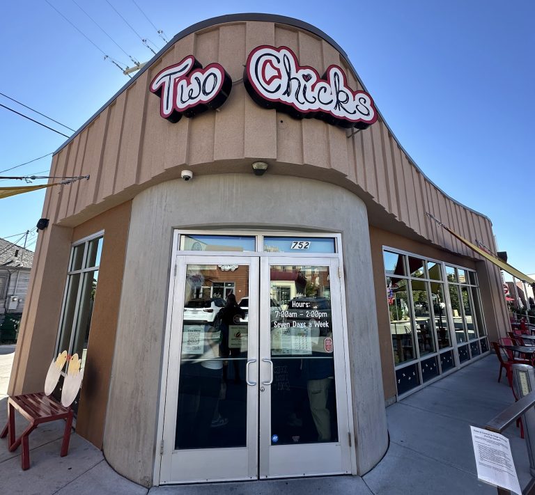 25247 two chicks 768x711