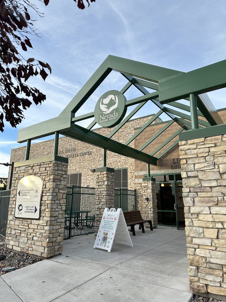 25287 nevada humane society 768x1024