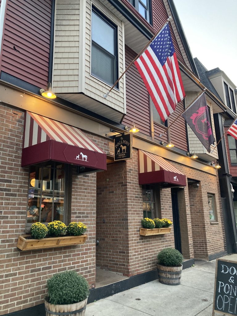 25293 dog and pony saloon 768x1024