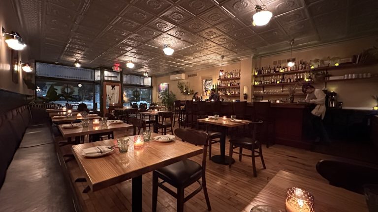 25315 the dapper goose 768x432