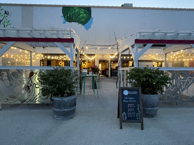 25399 sor ynez 768x576