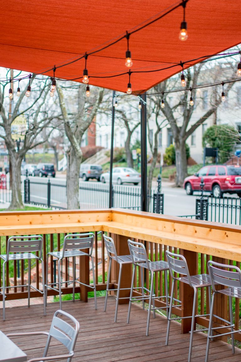 25532 city dogs 768x1151