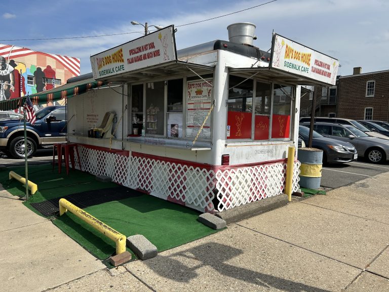 25600 rays dog house 768x576