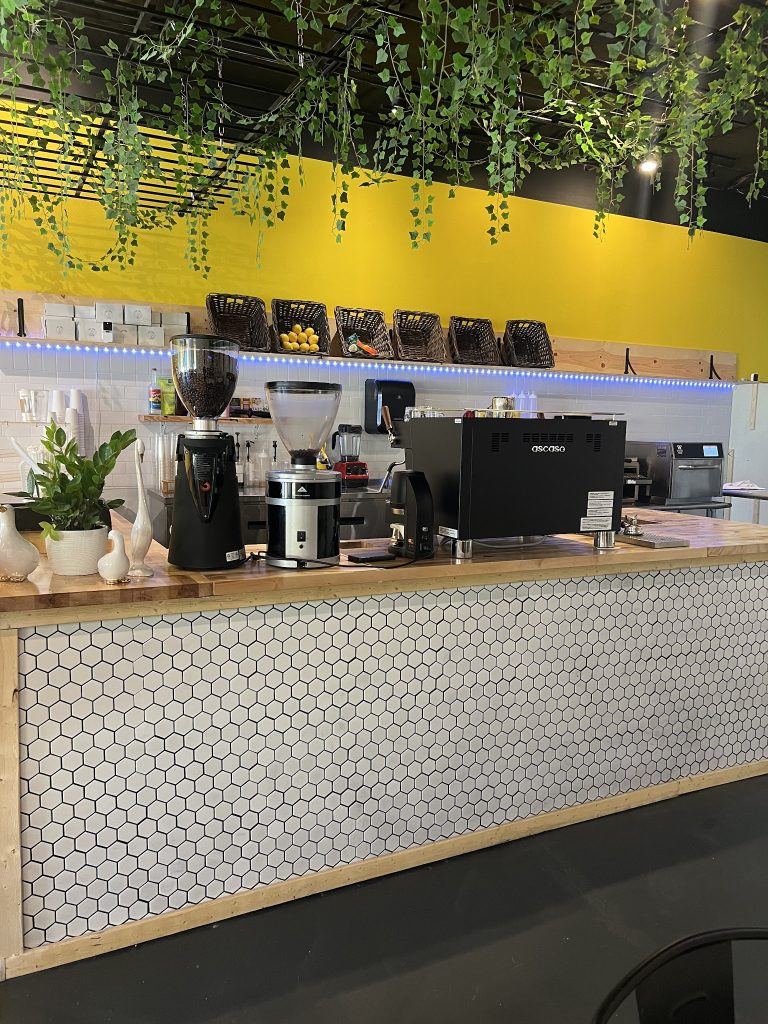 25734 lucky goose 768x1024