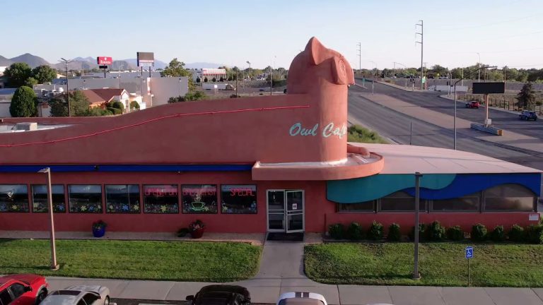 25772 owl cafe 768x432