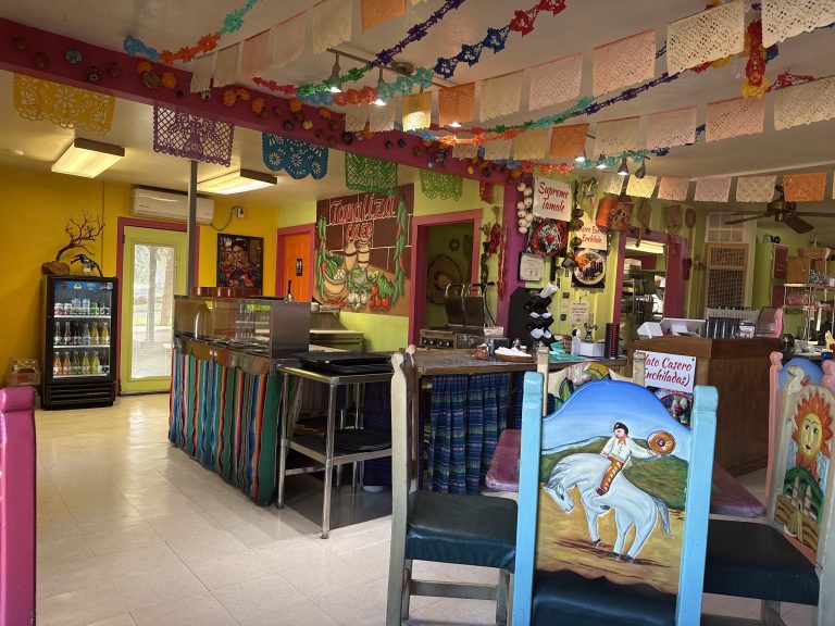 25998 tamaliza 768x576