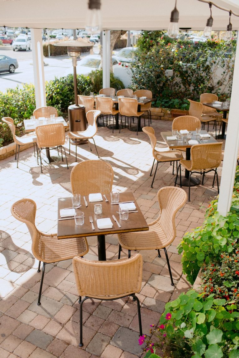 26065 paloma 768x1151