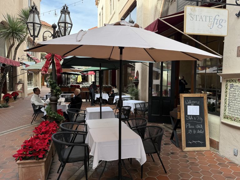 26067 state fig 768x576