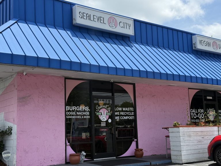 26147 sealevel city vegan diner 768x576