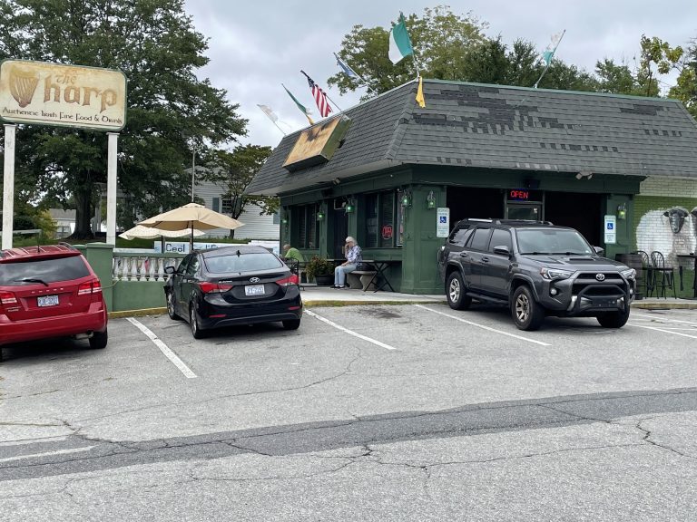 26151 the harp 768x576