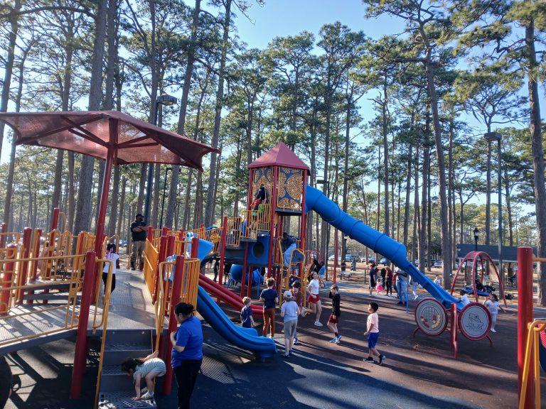 26201 long leaf park 768x576