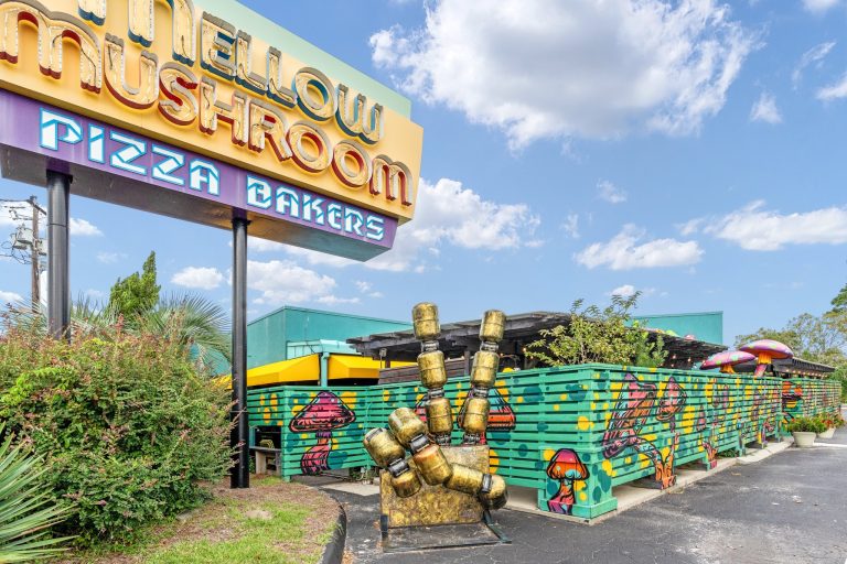 26205 mellow mushroom wilmington 768x512