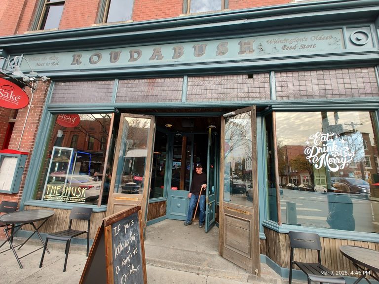 26222 the husk 768x576