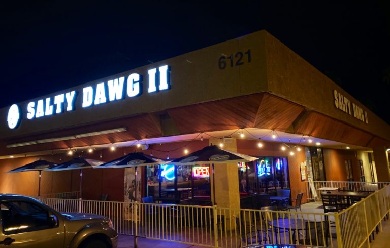 26346 salty dawg ii 768x490