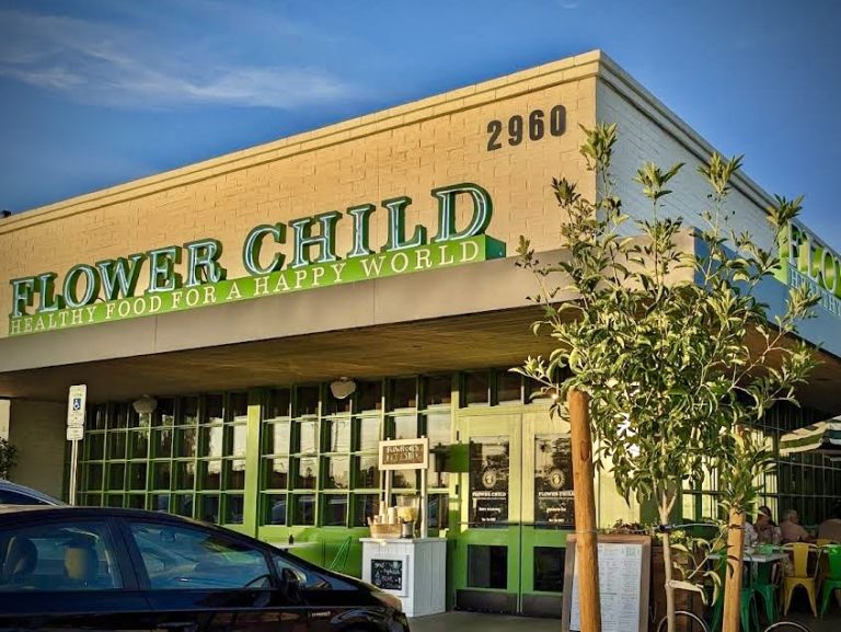 26363 flower child 768x577