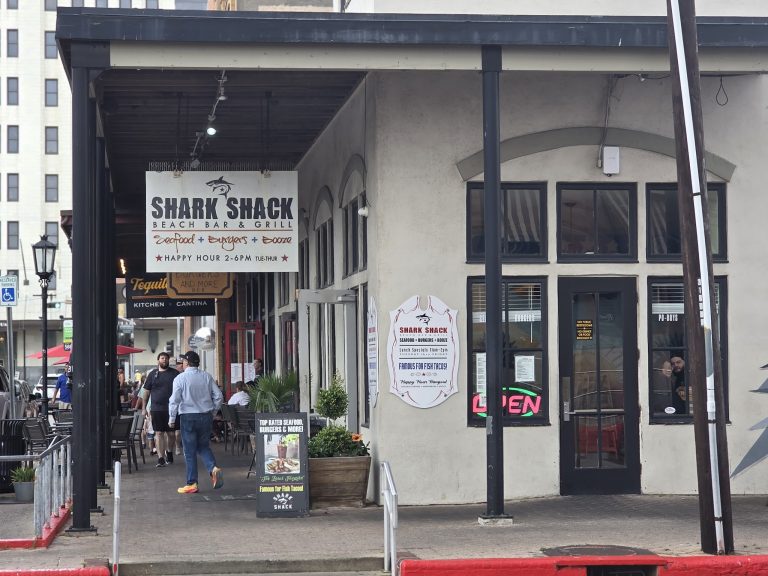 26544 shark shack 768x576