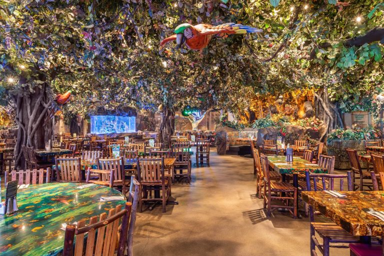 26585 rainforest cafe 768x512