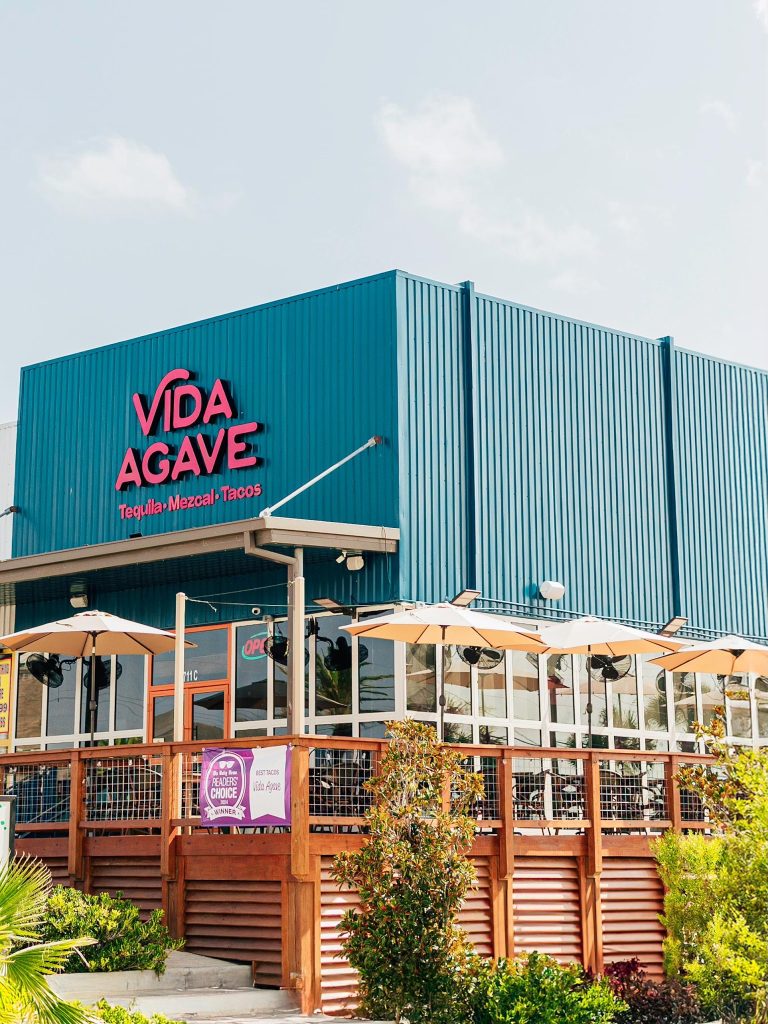 26610 vida agave 768x1024