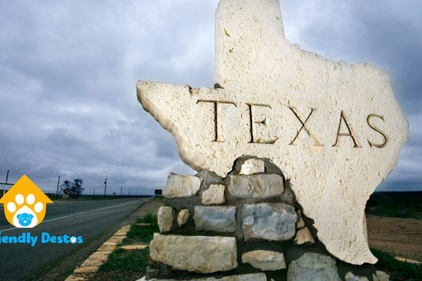 Texas dog-friendly restaurants