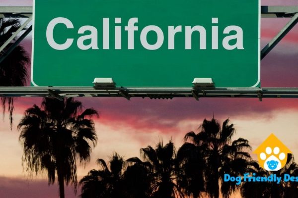 Dog Friendly Restaurants California