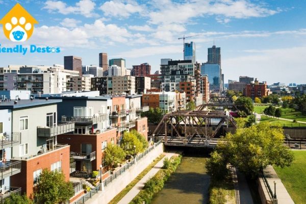 Colorado dog-friendly restaurants