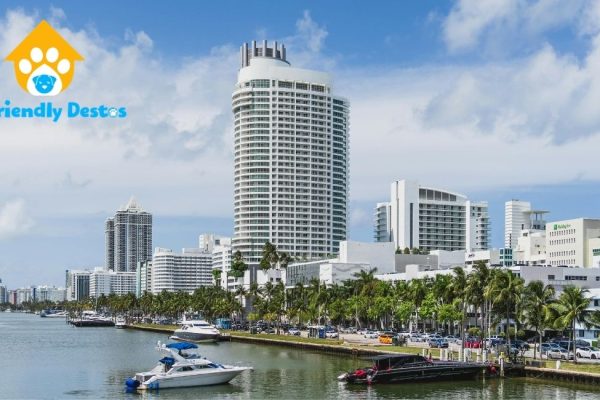 Florida dog-friendly restaurants