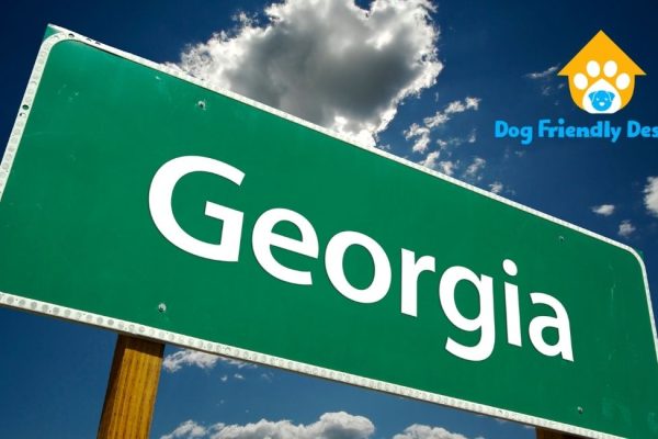 Georgia dog-friendly restaurants