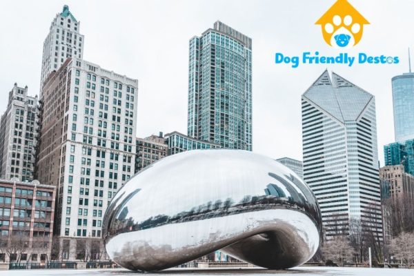 Illinois dog-friendly restaurants