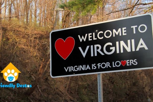 Virginia dog-friendly restaurants